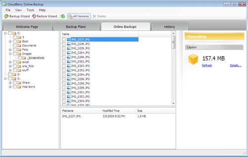 cloudberry online backup browser