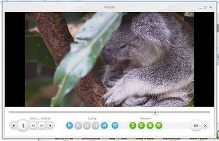 FreeMake Video Converter editing files
