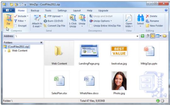 WinZip v15