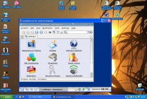 Tight VNC free remote access