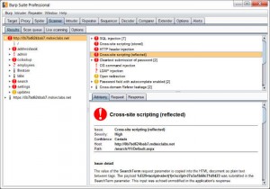 Burp Free Web Penetration Test